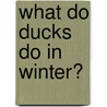 What Do Ducks Do in Winter? by Lewis B. Horne