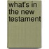 What's In The New Testament