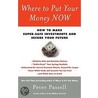 Where to Put Your Money Now door Peter Passell