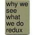 Why We See What We Do Redux