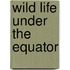 Wild Life Under The Equator