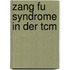 Zang Fu Syndrome In Der Tcm