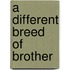 A Different Breed of Brother