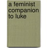 A Feminist Companion To Luke door Amy Jill Levine