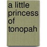 A Little Princess Of Tonopah door Aileen Cleveland Higgins