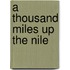 A Thousand Miles Up The Nile