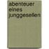 Abenteuer Eines Junggesellen