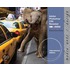 Adobe Photoshop Cs5 Revealed