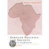 African Politics And Society door Peter Schraeder