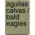 Aguilas calvas / Bald Eagles