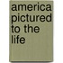 America Pictured To The Life