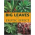 Big Leaves For Exotic Effect
