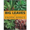 Big Leaves For Exotic Effect door Stephen Griffith