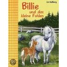 Billie und das kleine Fohlen by Lin Hallberg