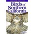 Birds of Northern California