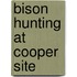 Bison Hunting At Cooper Site