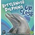 Bottlenose Dolphins Up Close