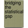 Bridging The Statistical Gap by Eric J. Seidman