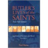 Butler's Lives of the Saints door Paul Burns