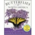 Butterflies of North America