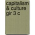 Capitalism & Culture Gir 3 C
