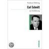 Carl Schmitt zur Einführung door Reinhard Mehring