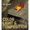 Color, Light And Composition door Sue Bishop
