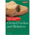 Crested Geckos and Relatives