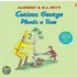 Curious George Plants A Tree
