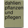 Dahlien pflanzen und pflegen door Axel Gutjahr