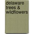 Delaware Trees & Wildflowers