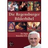 Die Regensburger Bilderbibel door Onbekend