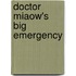 Doctor Miaow's Big Emergency