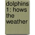 Dolphins 1: Hows The Weather