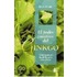 El Poder Curativo del Ginkgo