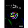 Elements of String Cosmology door Maurizio Gasperini