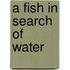 A fish in search of water