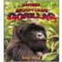 Endangered Mountain Gorillas