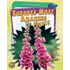 Europe's Most Amazing Plants