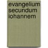 Evangelium Secundum Iohannem