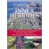 Exploring The Inner Hebrides