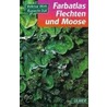Farbatlas Flechten und Moose door Volkmar Wirth