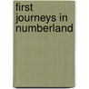 First Journeys In Numberland door Lillian McLean Waldo