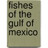 Fishes Of The Gulf Of Mexico