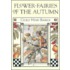 Flower Fairies Of The Autumn