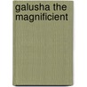 Galusha The Magnificient [!] by Joseph Crosby Lincoln