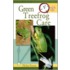 Garter And Ribbon Snake Care
