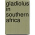 Gladiolus In Southern Africa