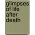 Glimpses of Life After Death