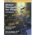 Global Navigation For Pilots